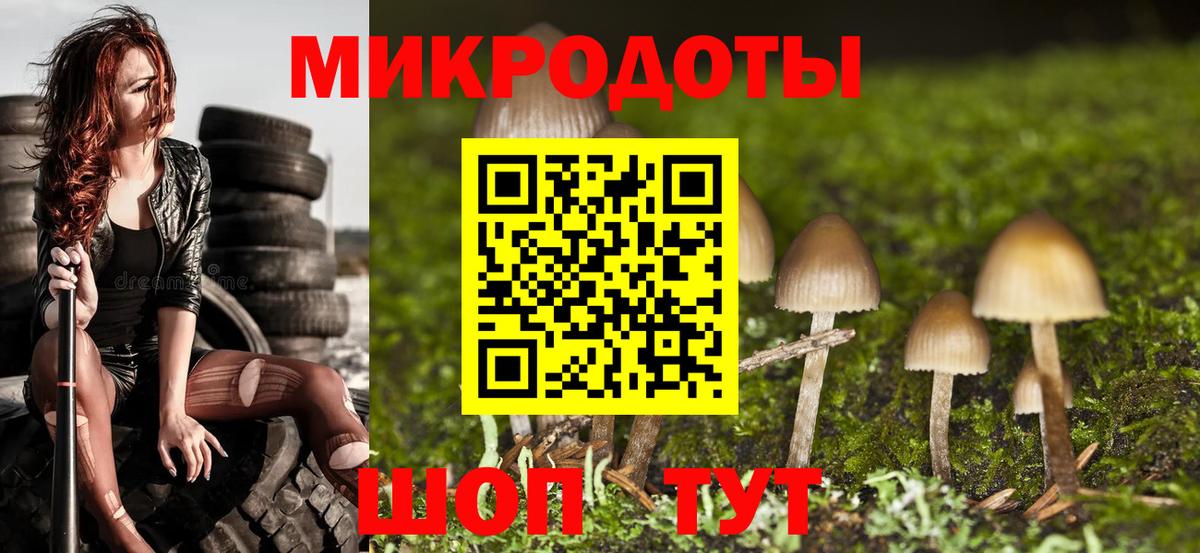 Псилоцибиновые грибы Cubensis Киров